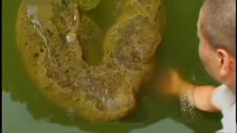 经典传奇 水怪魅影大揭秘