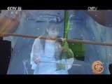 风华国乐 《风华国乐》 20161226 中国乐音 中国美