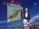 直播全球 《直播全球》 20160804