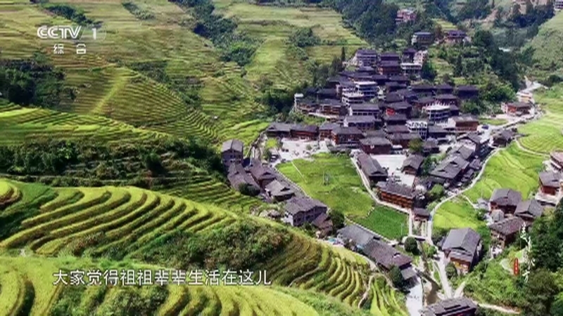 《中华民族》 20210317 遥远的地方 第三集 龙脊梯田