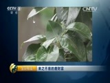 生财有道 《生财有道》 20150817 来之不易的鹿财富