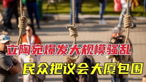 上蹿下跳迎来恶果，立陶宛爆发骚乱，民众威胁把议员统统处决
