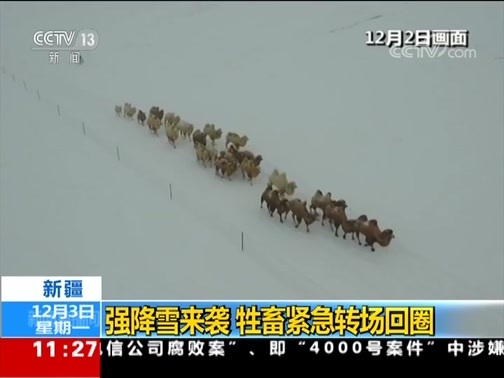 新闻直播间 《新闻直播间》 20181203 11:00