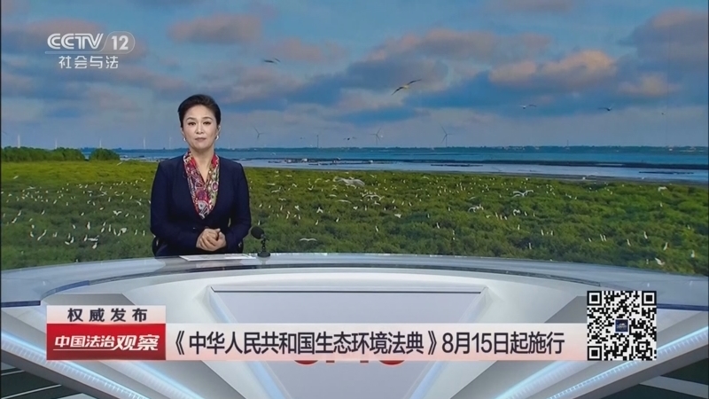 热线12 《中国法治观察》 20260814