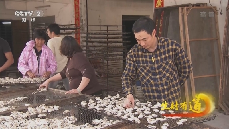 生财有道 《生财有道》 20220412 生态中国沿海行——春暖花开季 海鲜肥美时