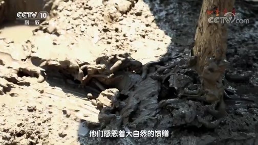 味道 《味道》 20180907 四季味道（69） 海中寻鲜有哪些妙招？