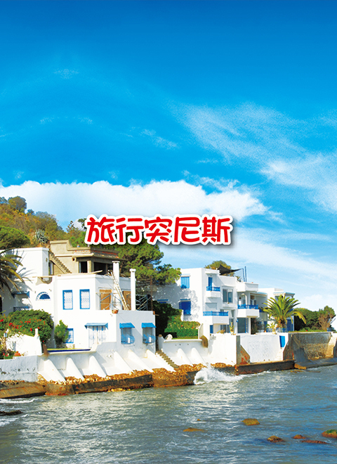 旅行突尼斯 海报