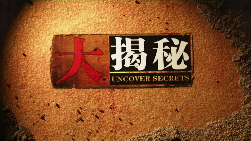 《解放东北系列》第2集