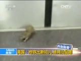 国际时讯 《国际时讯》 20170508