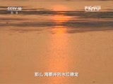 地理中国 《地理中国》 20160206 青云山里的古井