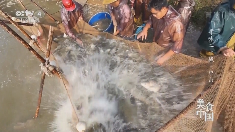 美食中国 《美食中国》 20220822 寻味二十城·中山