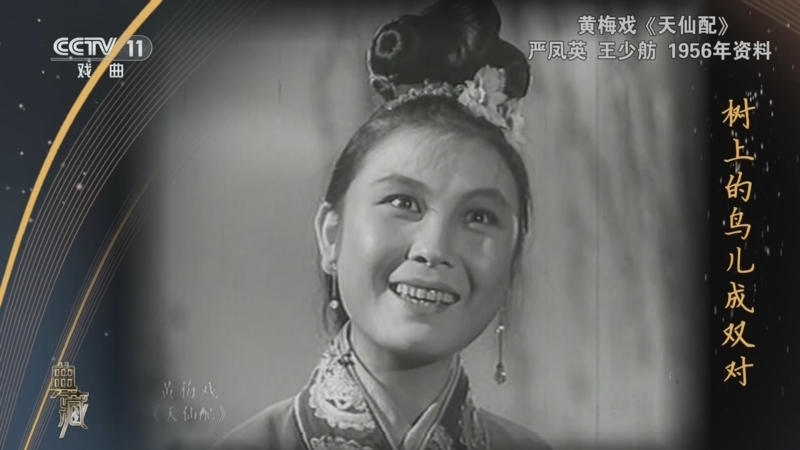 典藏 《典藏》 20240623