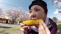 小梦帮倒忙Z 青森赏樱花 参加名古屋NHK节目小报告之一