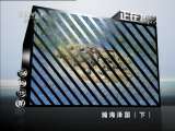 动物世界 动物世界 2011年 第6期