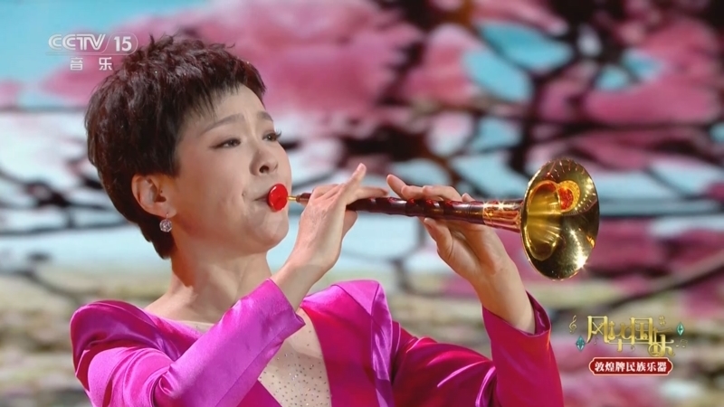 风华国乐 《风华国乐》 20250501