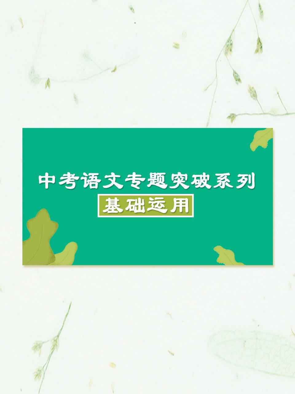中考语文专题突破系列·基础运用