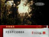 自然传奇 天生杀手之迷魂追杀 自然传奇20110125