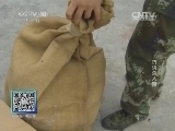 我爱发明 《我爱发明》 20140404 巧灭杀人蜂
