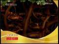 动漫世界 动漫世界 2009年 第169期