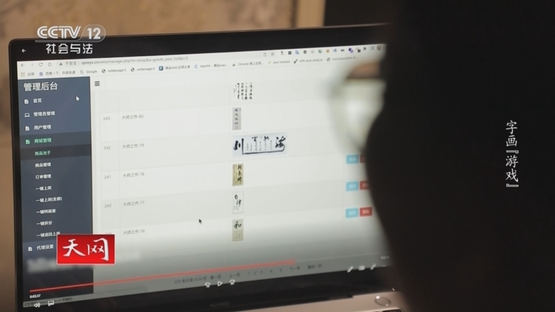 天网 《天网》 20250401 字画“游戏”