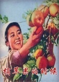 摘苹果的时候 海报
