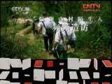 地理中国 《地理中国》 20110727 《地球年轮——“金钉子”的故事》——神秘的石头