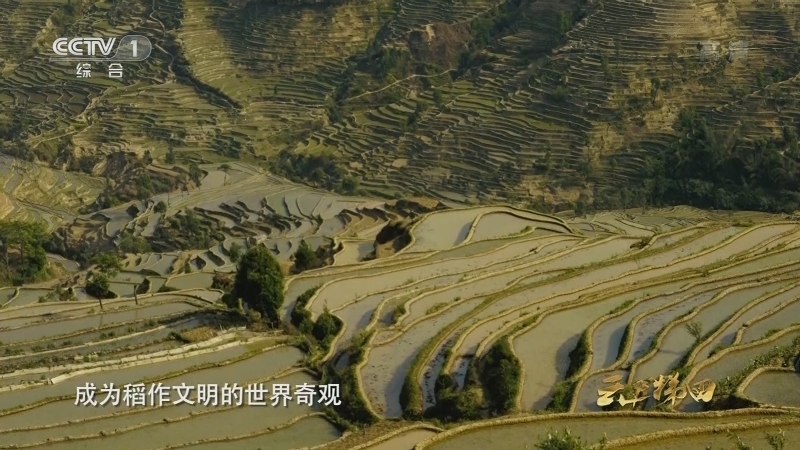 《中华民族》 20210414 云上梯田
