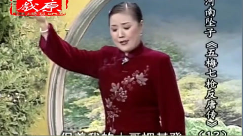 河南坠子 坠子《五梅七枪反唐传》
