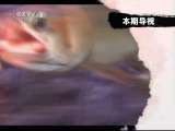 生财有道 移民的大鱼好赚钱