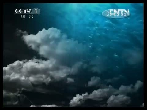 人与自然 《人与自然》 20130423 自然故事 狮子家族（下）