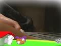 狗狗日记 第107天 不要洗澡