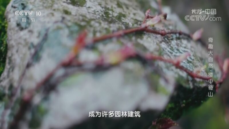 地理中国 《地理·中国》 20201121 奇趣大自然·楼中奇山