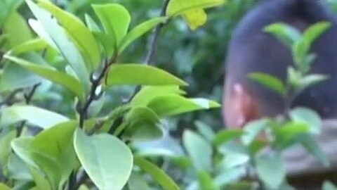 耳目一新 耳目一新20150611