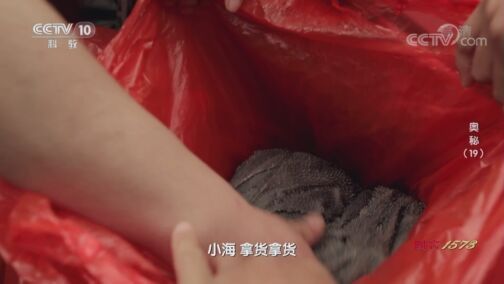 奥秘 《奥秘》 20200813 （19）