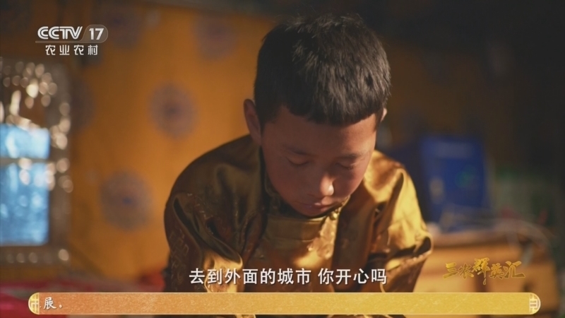 三农群英汇 《三农群英汇》 20260602 奔跑吧 少年