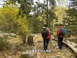 地理中国 《地理中国》 20150715 新疆好地方·金山神水（下）