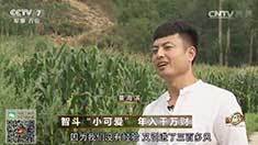 致富经 [致富经]智斗“小可爱” 年入千万财 20160829