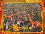 远方的家 逛南京秦淮灯会 快乐元宵节
