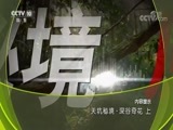 地理中国 《地理中国》 20180804 天坑秘境·深谷奇花（上）