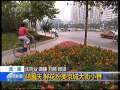 晚间新闻 [视频][北京]迎国庆 鲜花扮美京城大街小巷