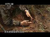科技人生 拆弹之王 科技人生 2011年 第4期