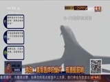 中国舆论场 《中国舆论场》 20170813