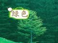 宝宝语言启蒙 颜色