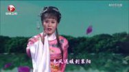 相约花戏楼 中华戏曲达人梨花奖争霸赛