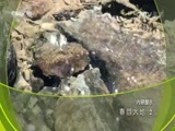 地理中国 《地理中国》 20170305 春回大地（2）