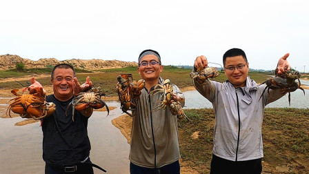思乡渔夫赶海 渔夫带老爸阿胖山去赶海，1斤级别大螃蟹抓到手软，直接爆桶了