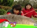 狗狗日记 第279天 在阳明山野餐