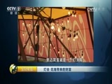 生财有道 《生财有道》 20170104 灯会 花海带来的财富