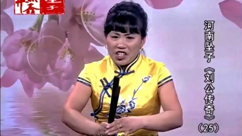 河南坠子 坠子《刘公传奇》胡银花