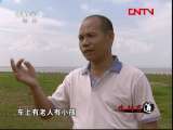 生财有道 [生财有道]鹅飞鹤舞 苦尽甘来（下）(20110929)